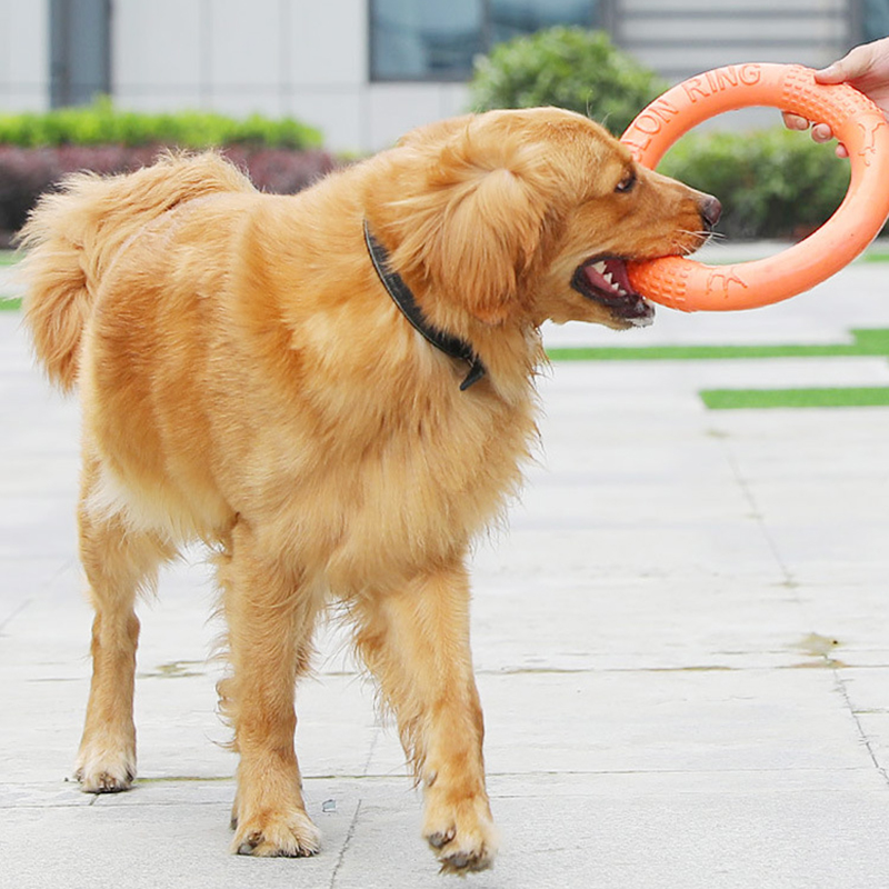 1PC cam Dog Đồ chơi Vật nuôi b - đánh giá và giá Indestructible Dog Chew Toy