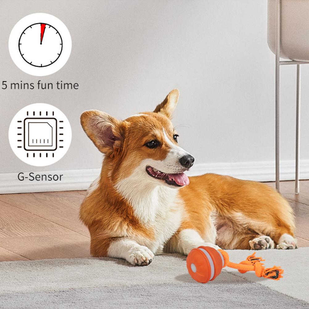 Pet Ball for Dogs Interactive  - đánh giá và giá Automatic Moving Dog Ball