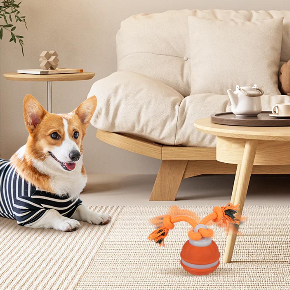 Pet Ball for Dogs Interactive  - đánh giá và giá Automatic Moving Dog Ball