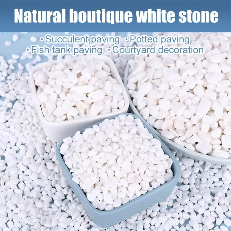 1L High-Quality Perlite Succul - đánh giá và giá Pet Beds