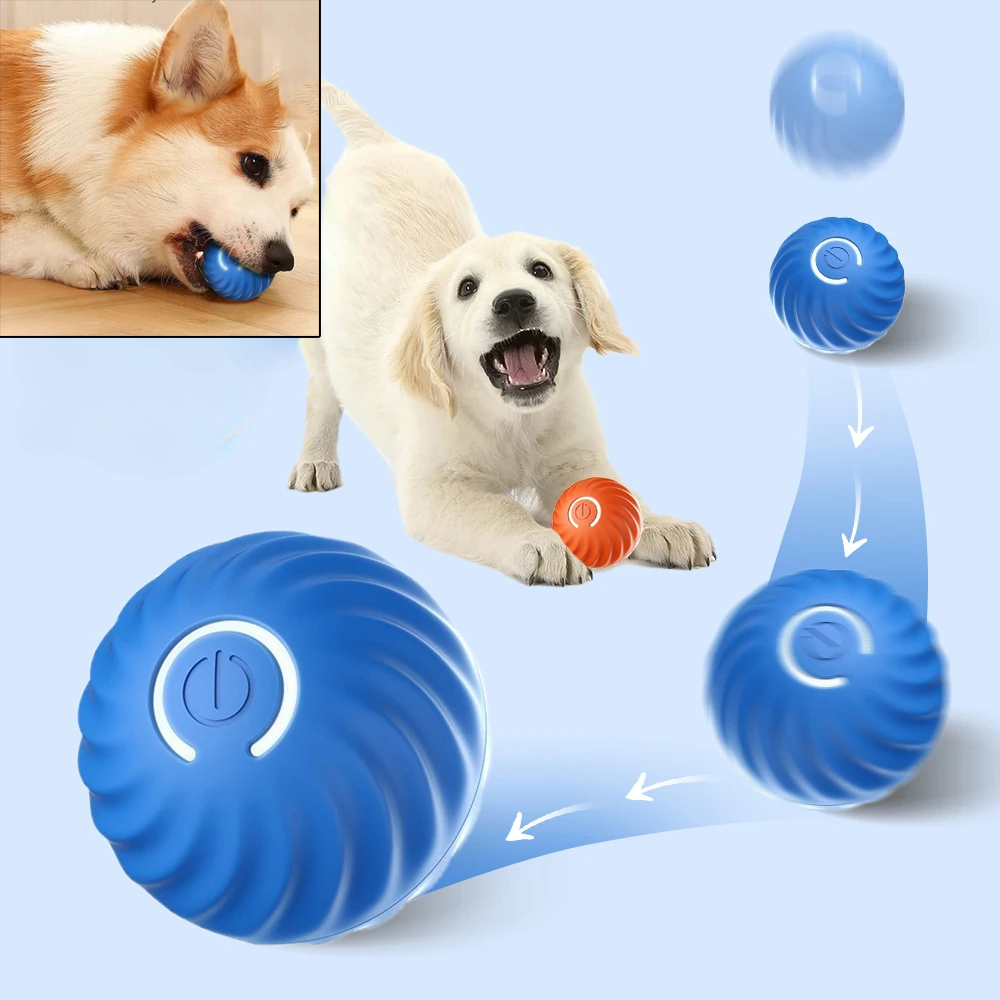 Automatic Moving Dog Toy Ball  - đánh giá và giá Automatic Moving Dog Ball
